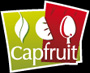 partner-capfruit